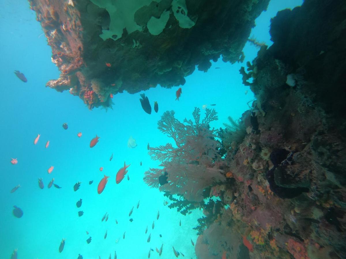 Ambower Homestay Raja Ampat Fam Luaran gambar
