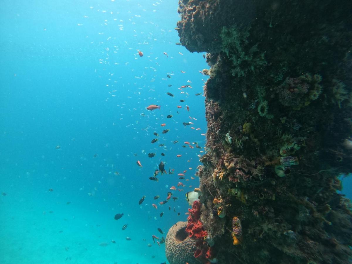 Ambower Homestay Raja Ampat Fam Luaran gambar