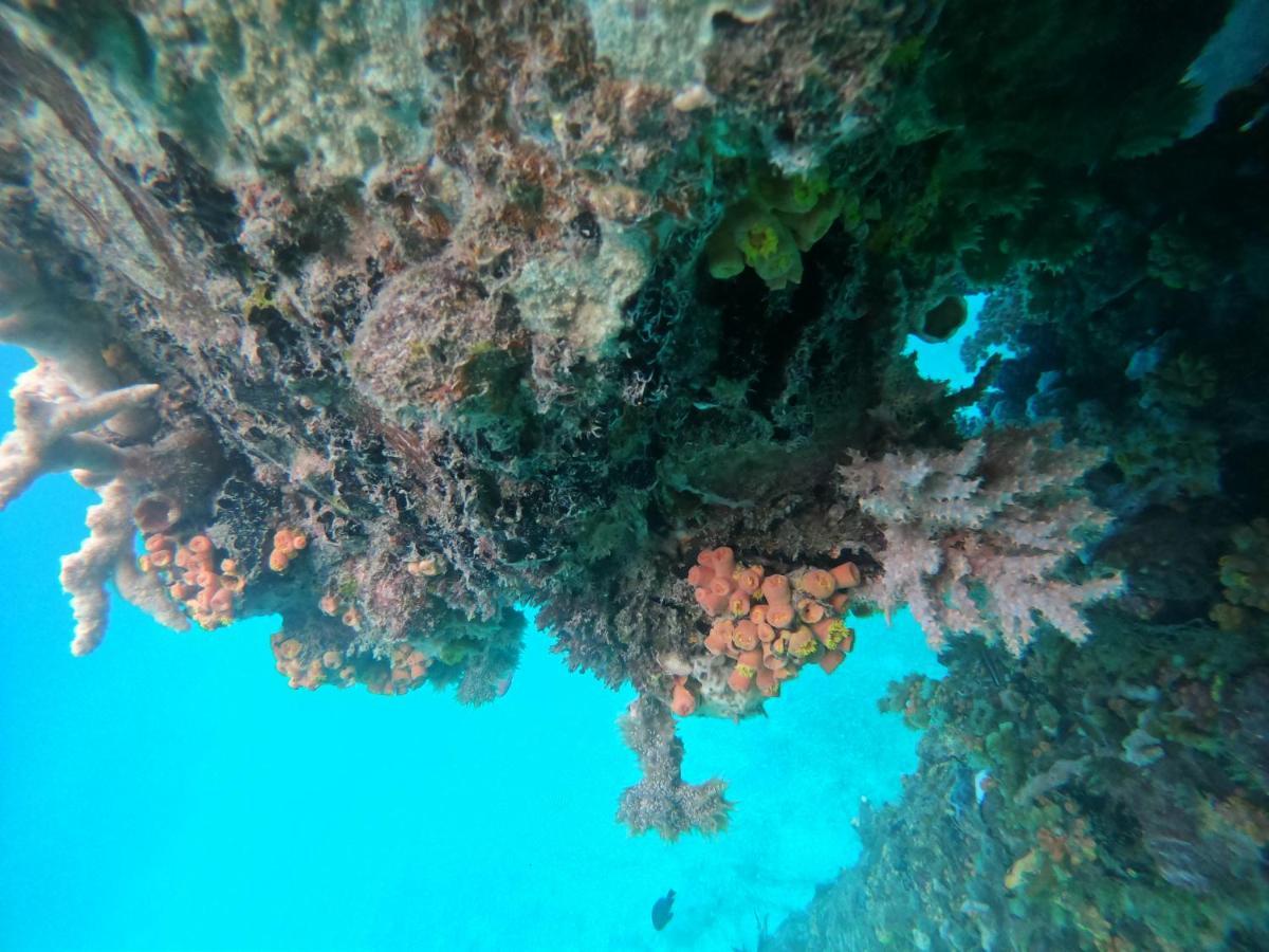 Ambower Homestay Raja Ampat Fam Luaran gambar