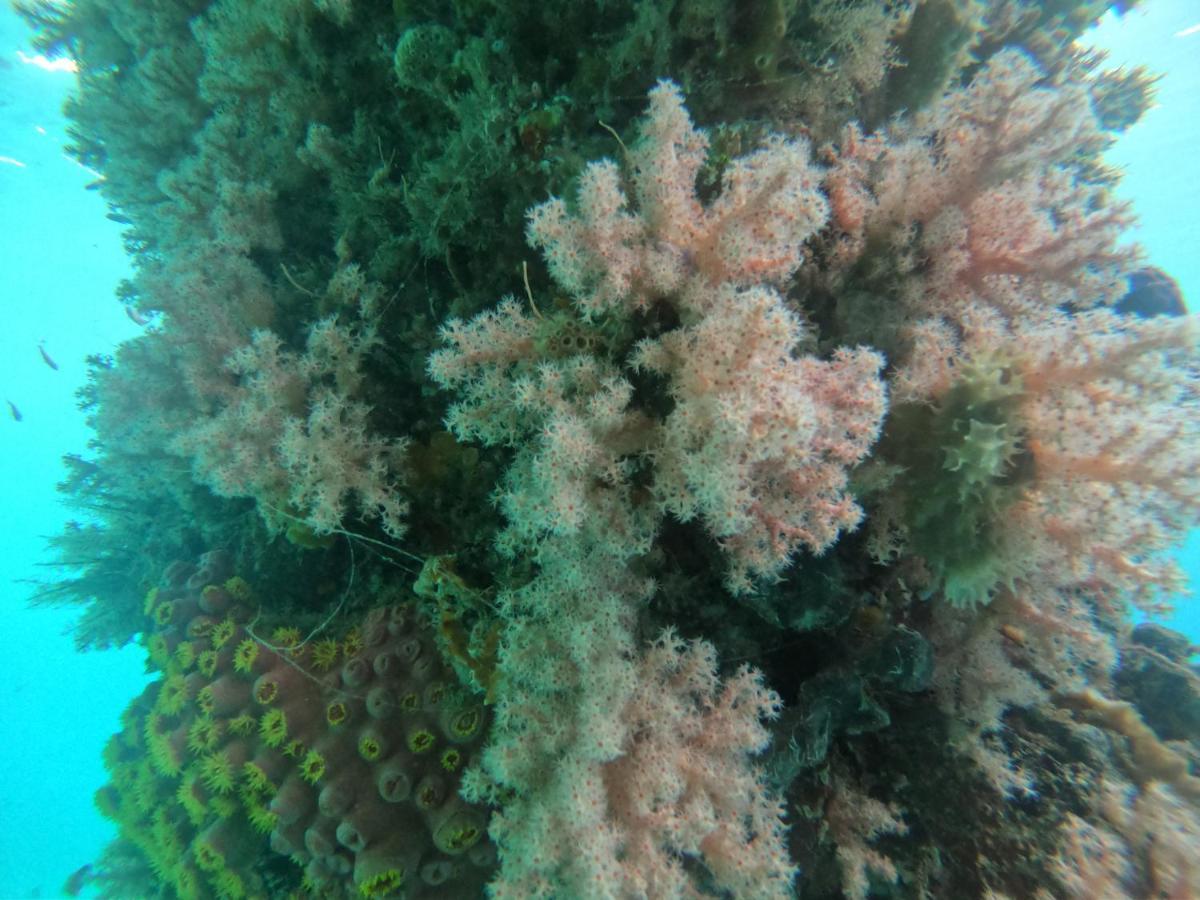 Ambower Homestay Raja Ampat Fam Luaran gambar