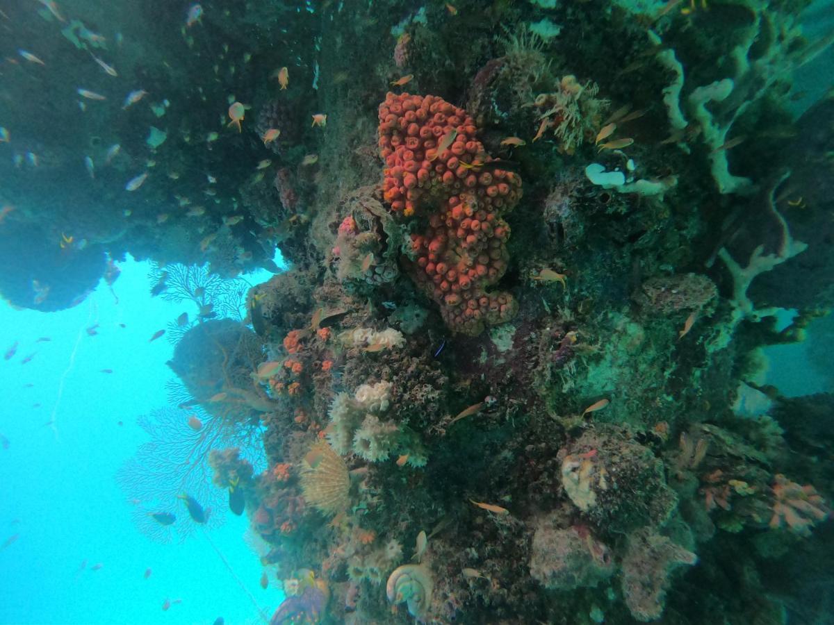 Ambower Homestay Raja Ampat Fam Luaran gambar