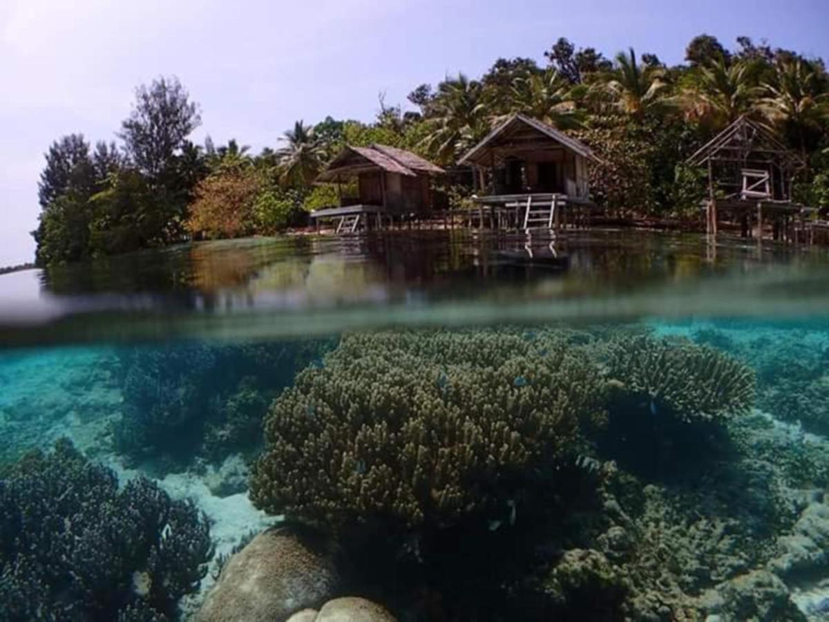 Ambower Homestay Raja Ampat Fam Luaran gambar