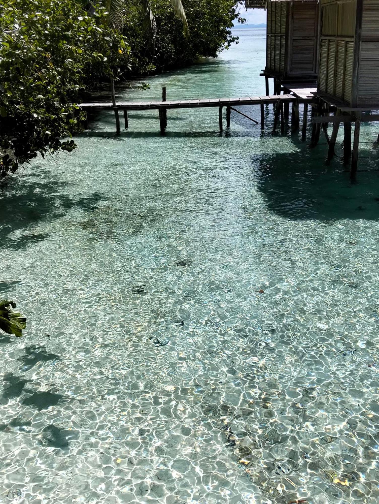 Ambower Homestay Raja Ampat Fam Luaran gambar