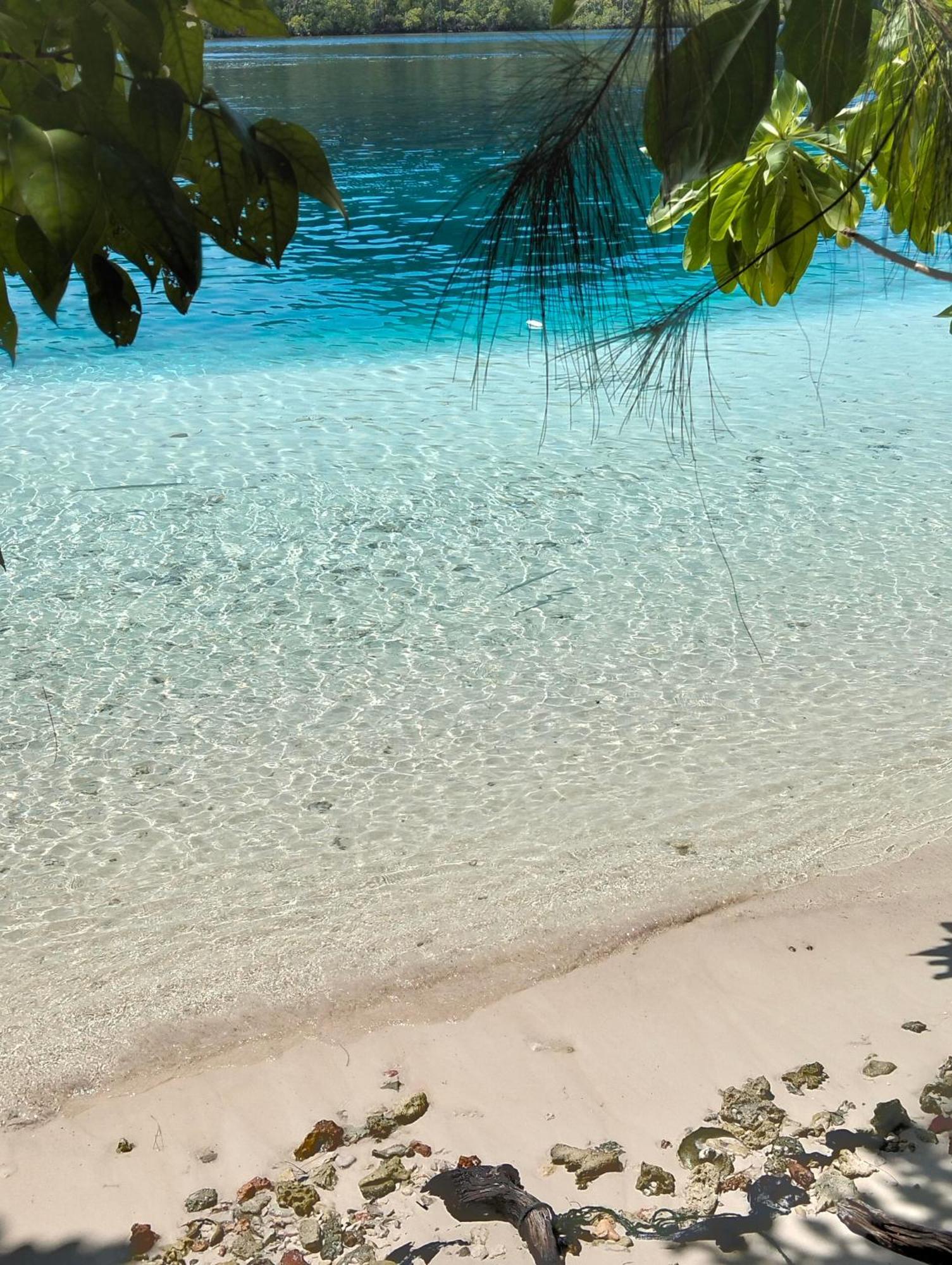 Ambower Homestay Raja Ampat Fam Luaran gambar