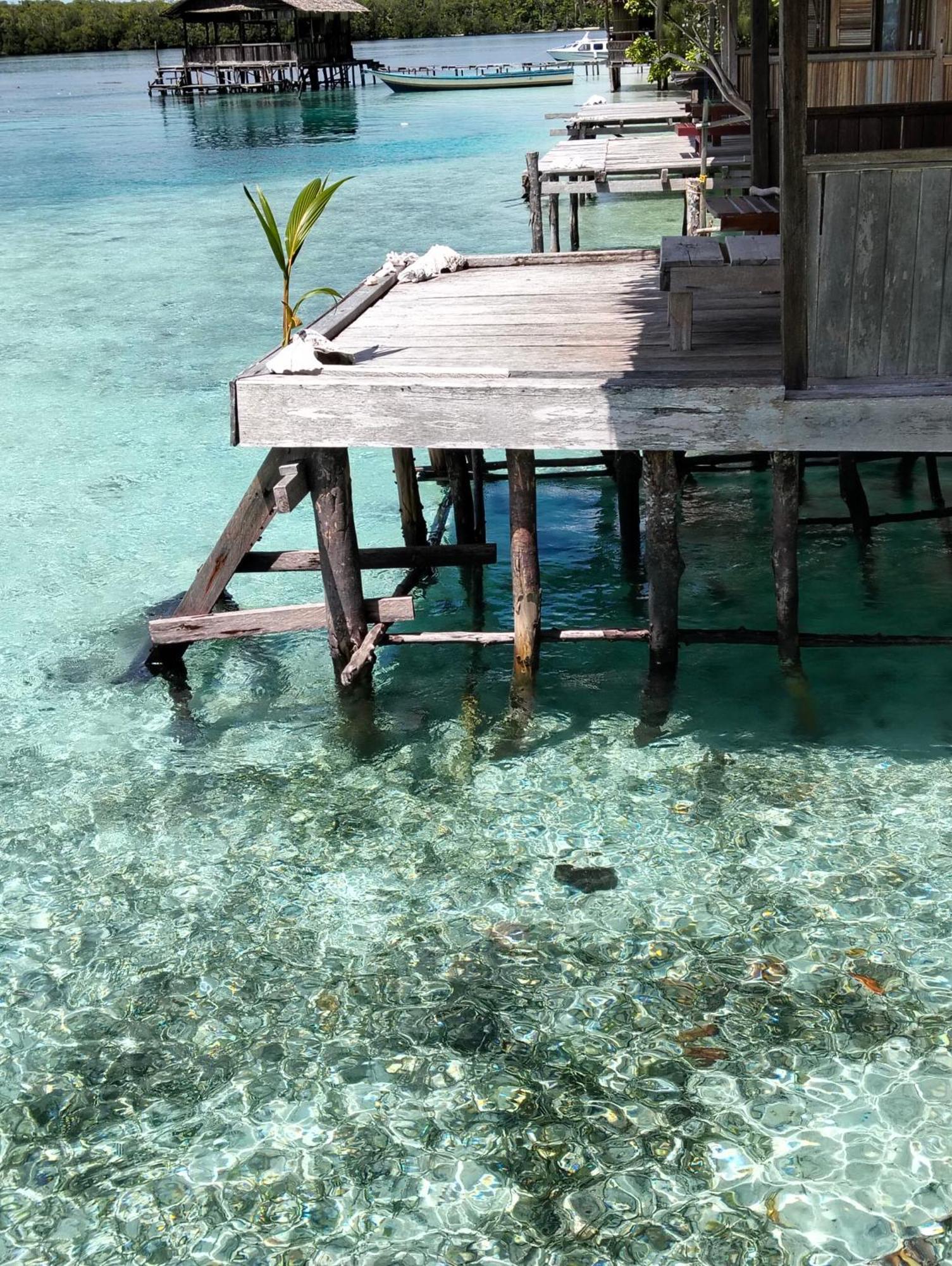 Ambower Homestay Raja Ampat Fam Luaran gambar