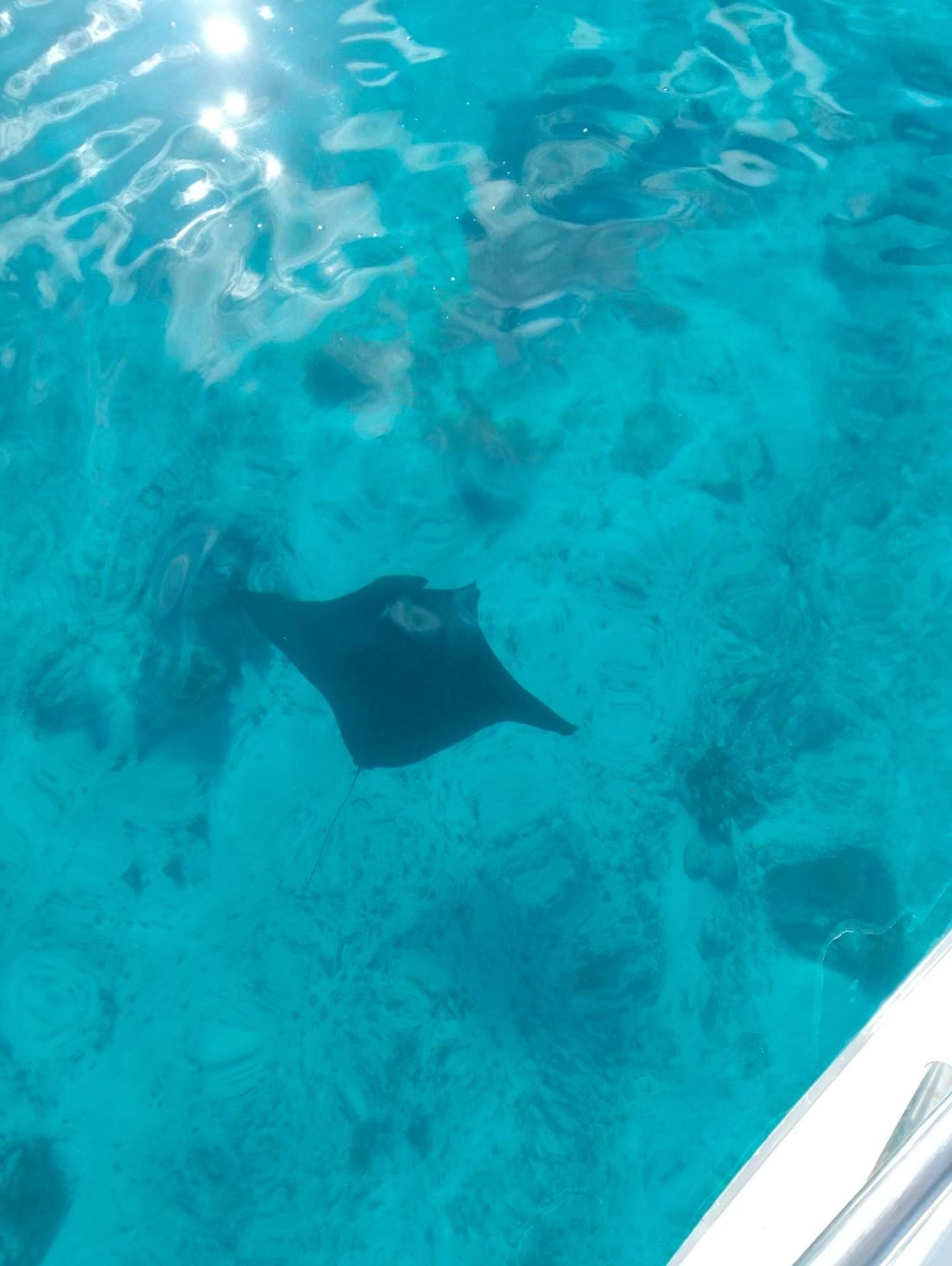 Ambower Homestay Raja Ampat Fam Luaran gambar